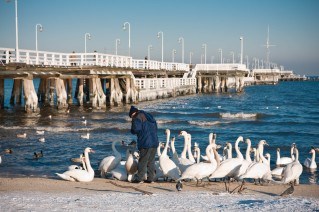 Sopot wooden pier